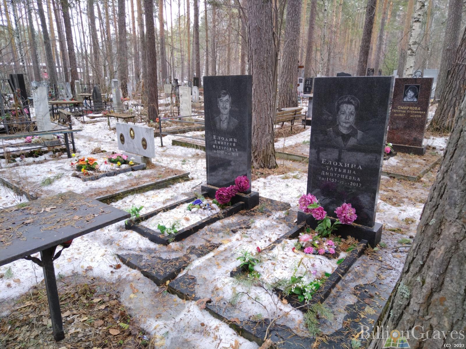 Елохина Татьяна Дмитриевна