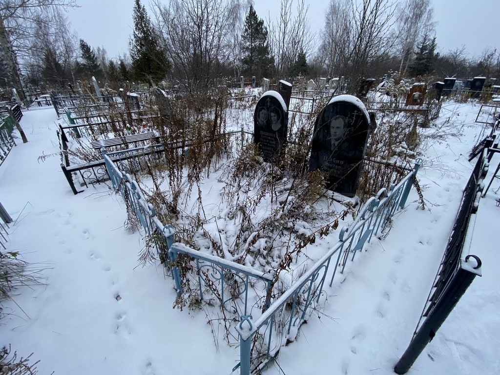 Цыбина София Сергеевна