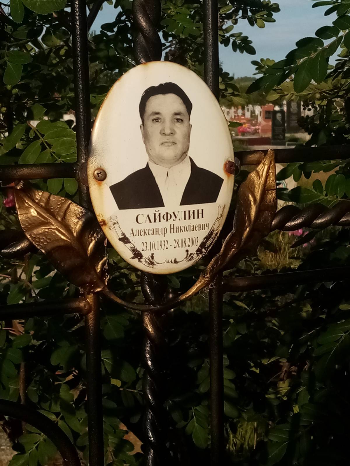 Сайфулин Александр Николаевич