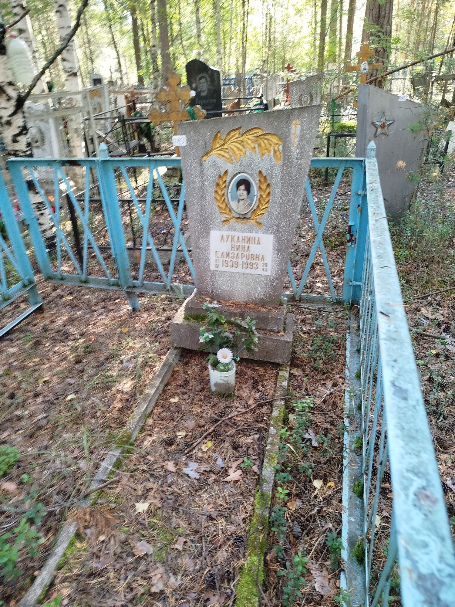 Луканина Нина Елизаровна