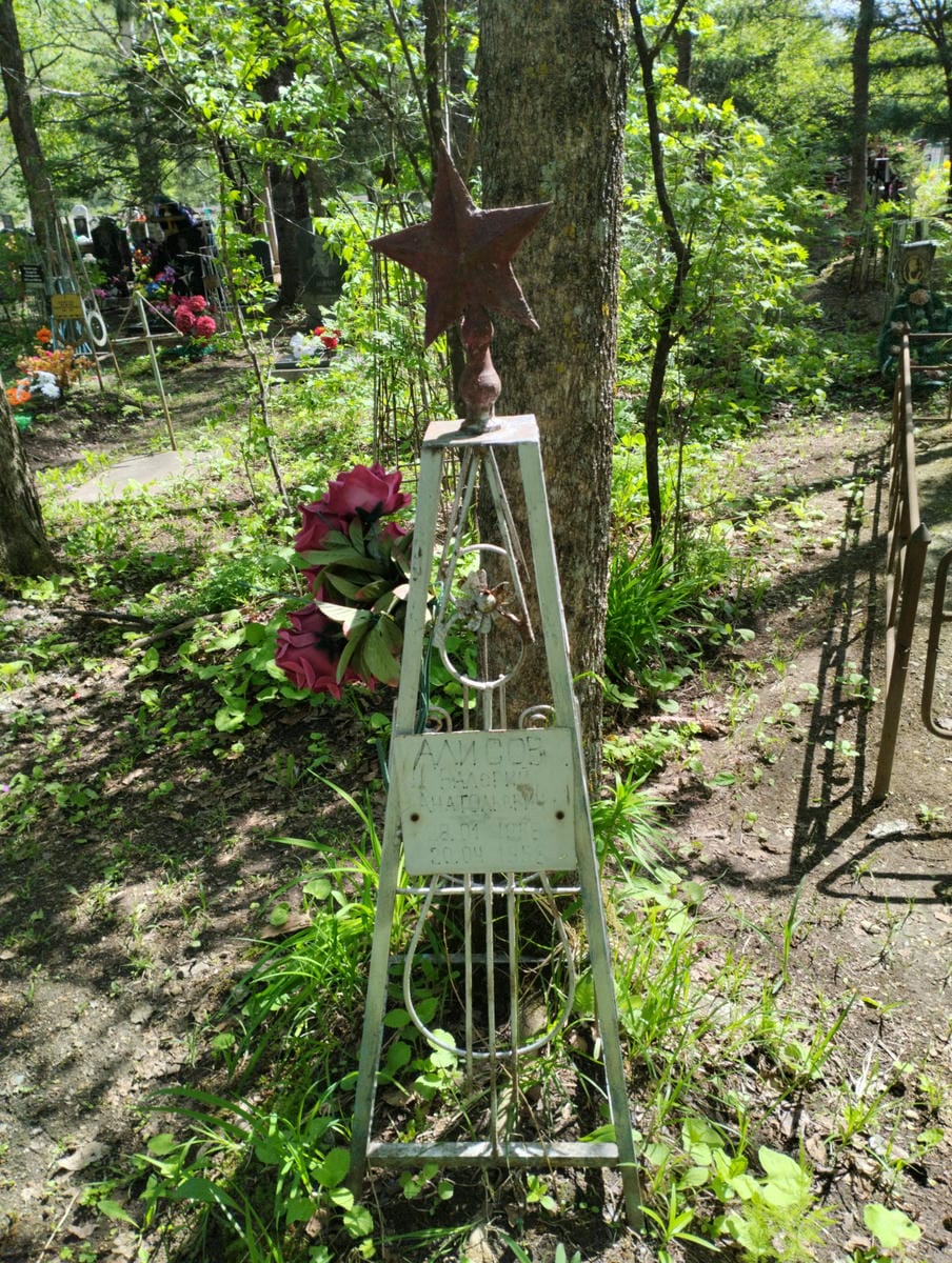 Алисов Валерий Анатольевич