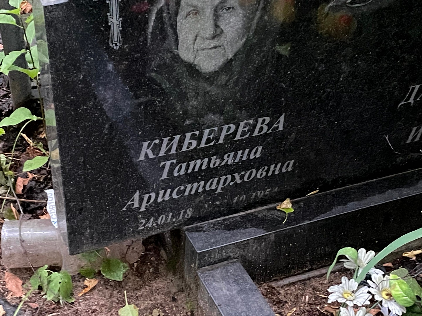Киберева