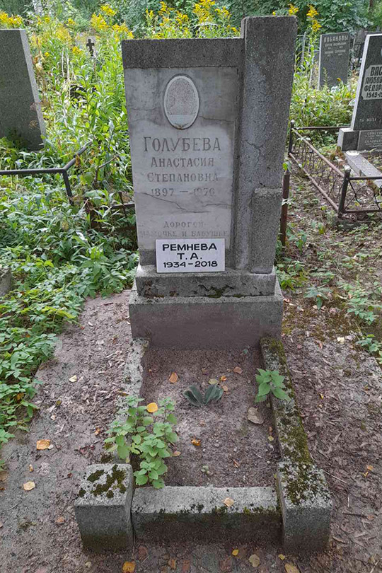 Голубева Анастасия Степановна