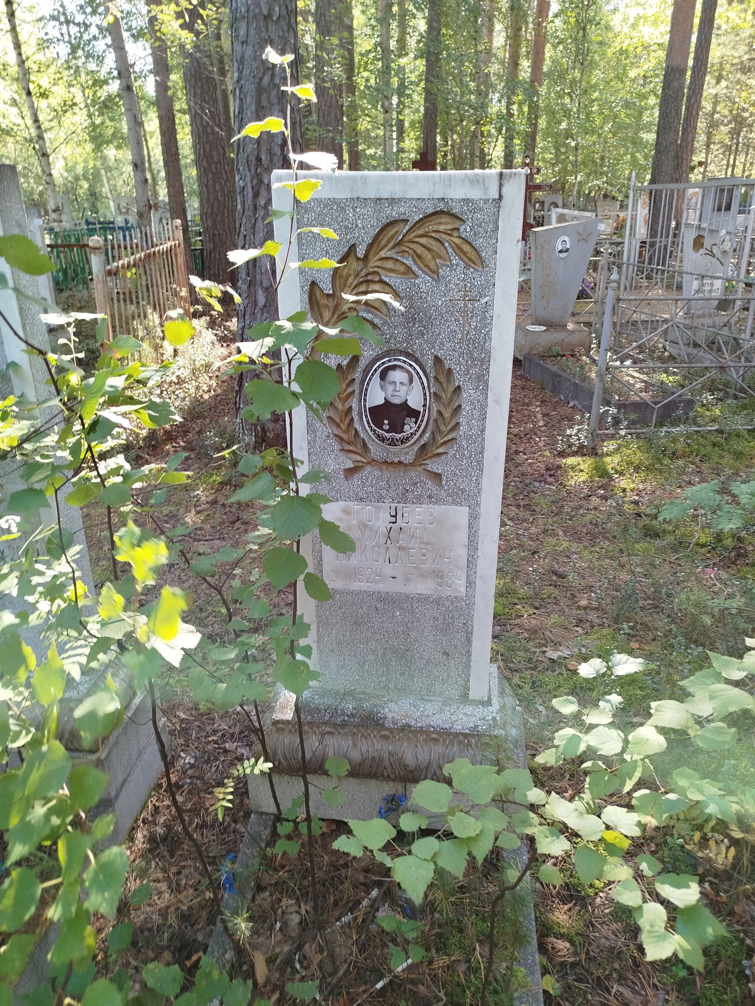 Голубев Михаил Николаевич