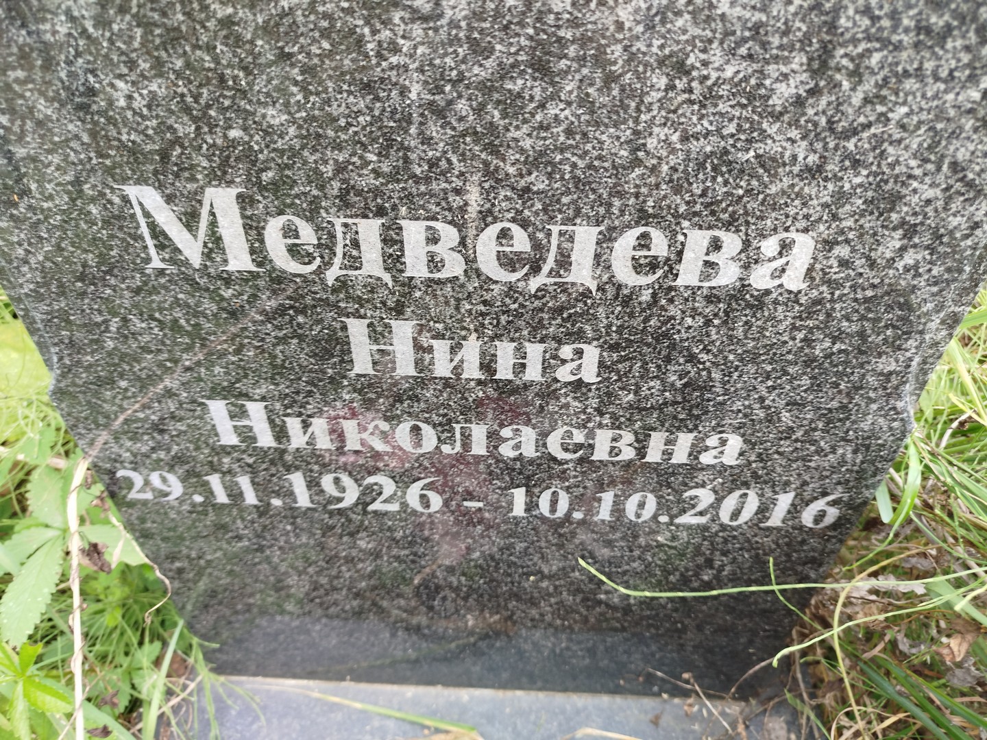 Медведева
