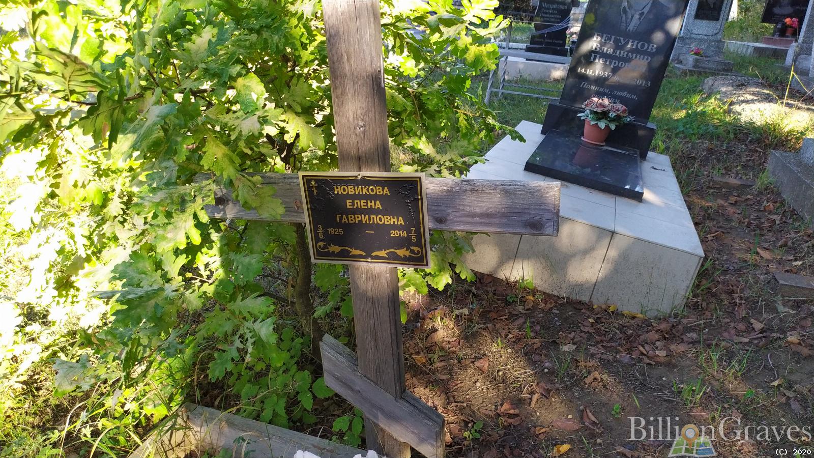 Новикова Елена Гавриловна