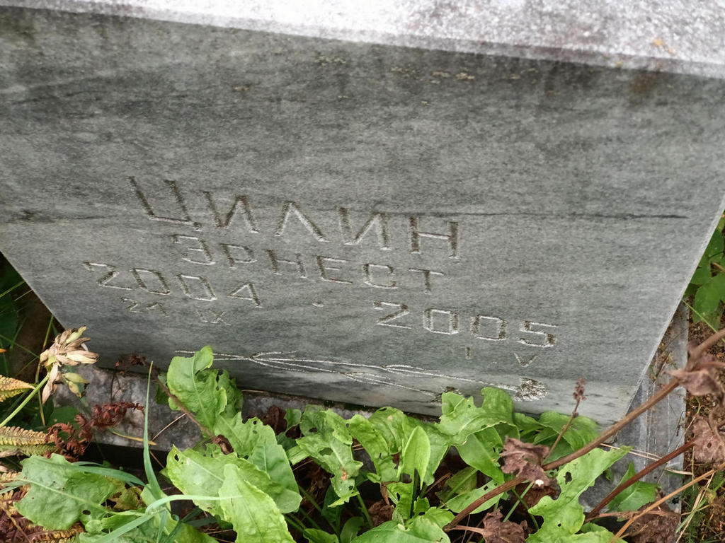 Цилин Эрнест