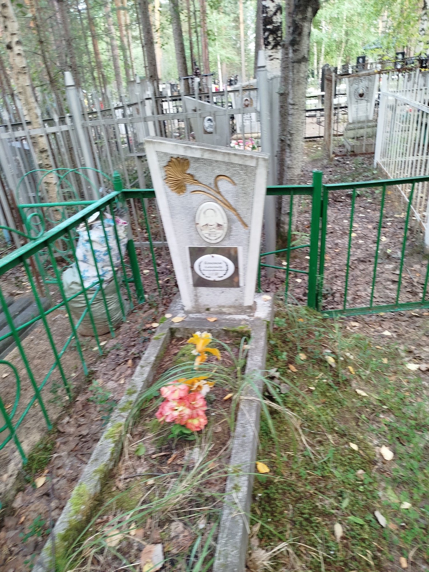 Кононов Александр Митрофанович