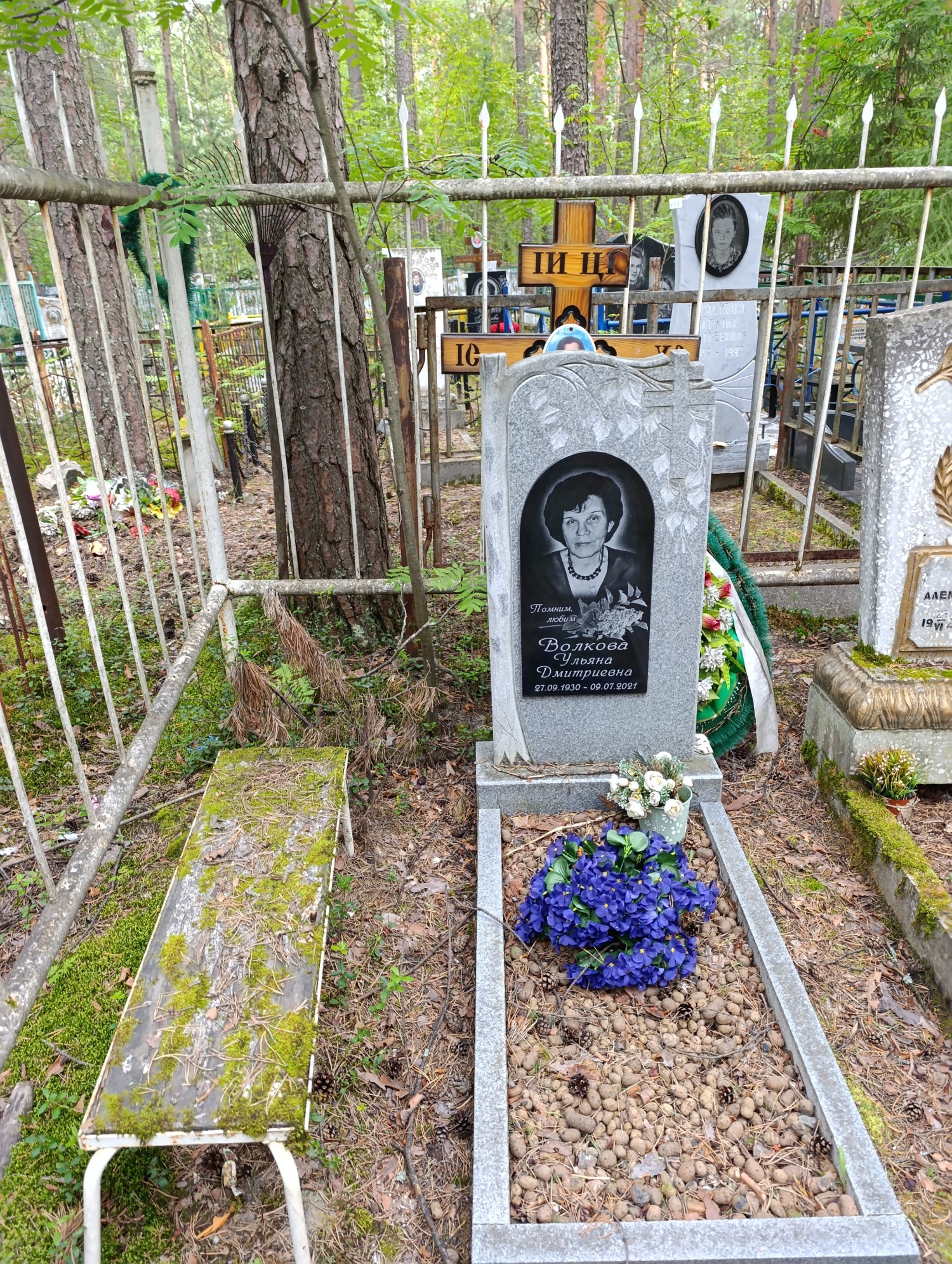 Волкова Ульяна Дмитриевна