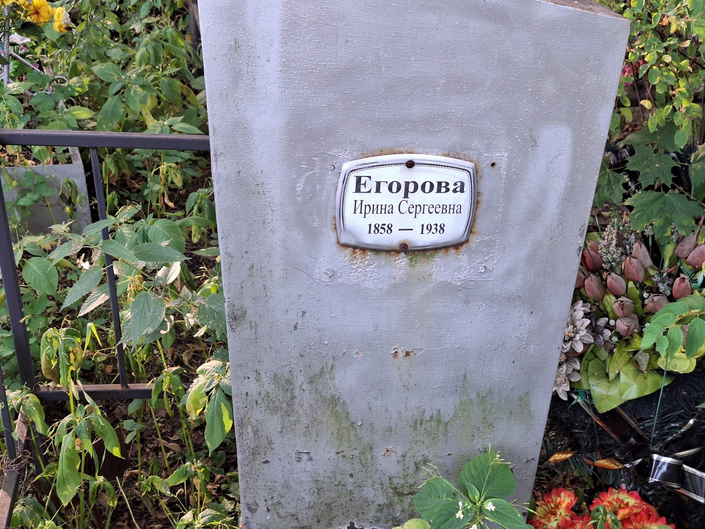 Егорова