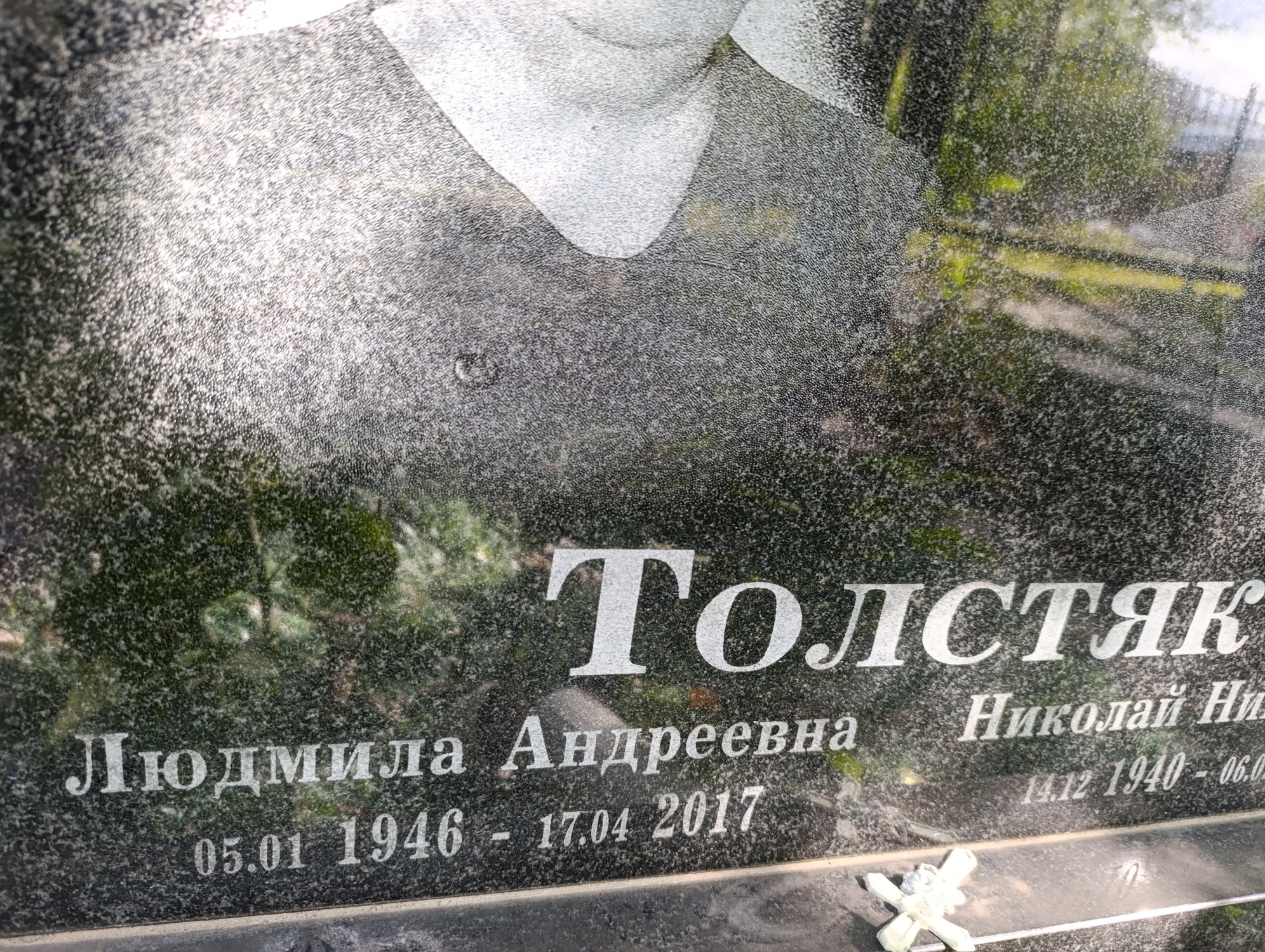 Толстяк Людмила Андреевна
