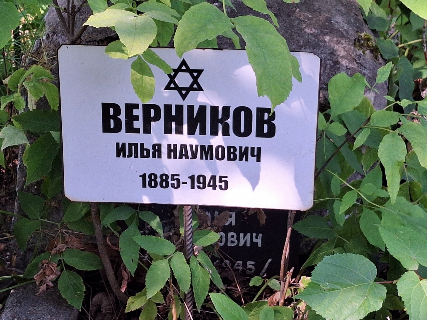 Верников