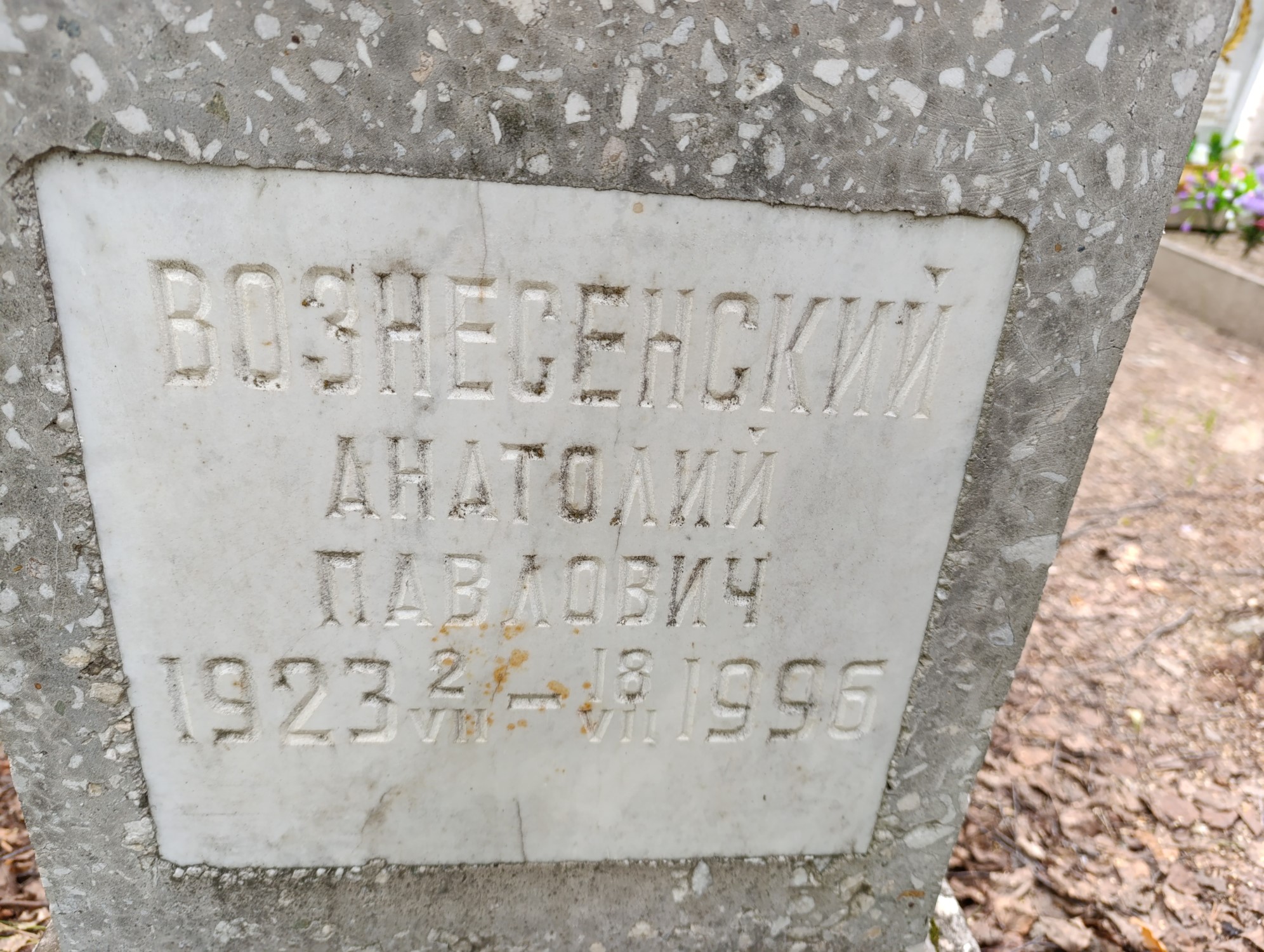 Вознесенский Анатолий Павлович