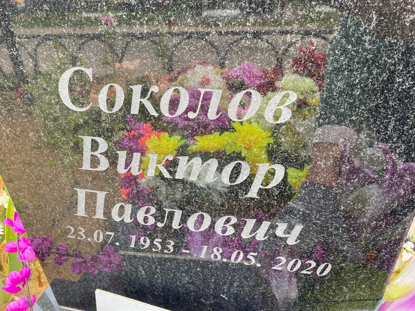 Соколов