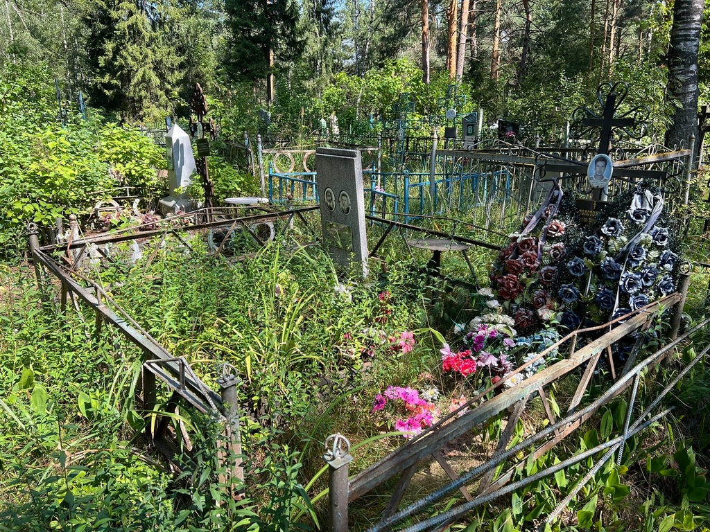 Толстогузов Алексей Вячеславович