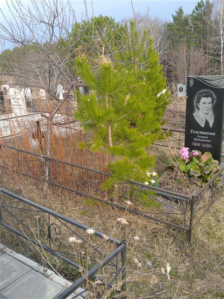 Толстикова Галина Макаровна