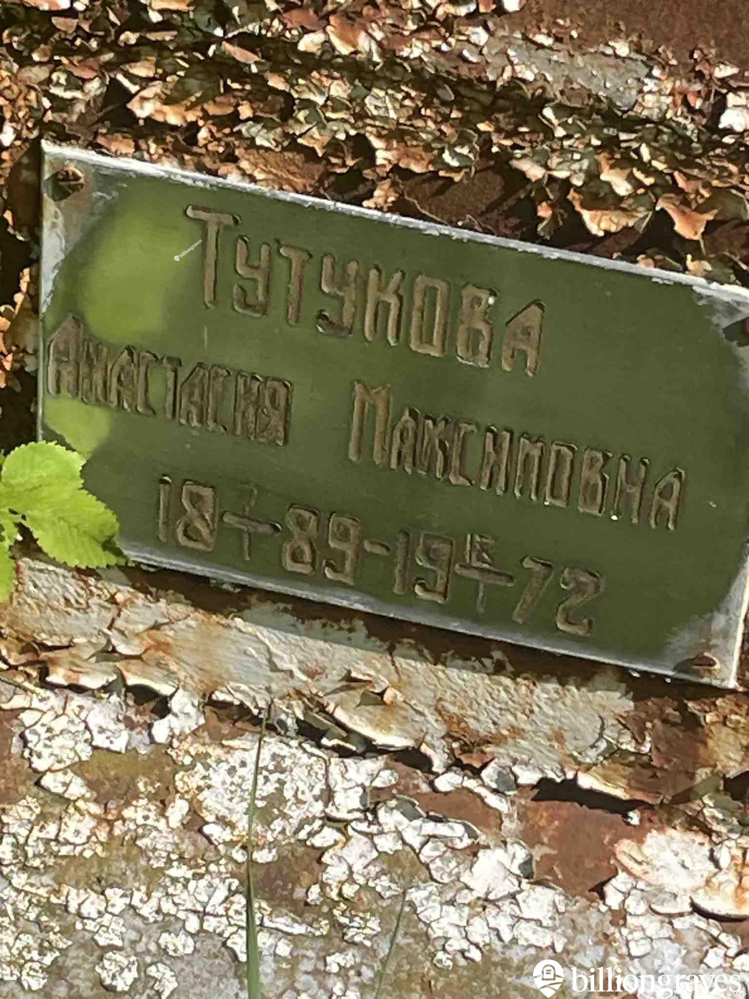 Тутукова Анастасия Максимовна