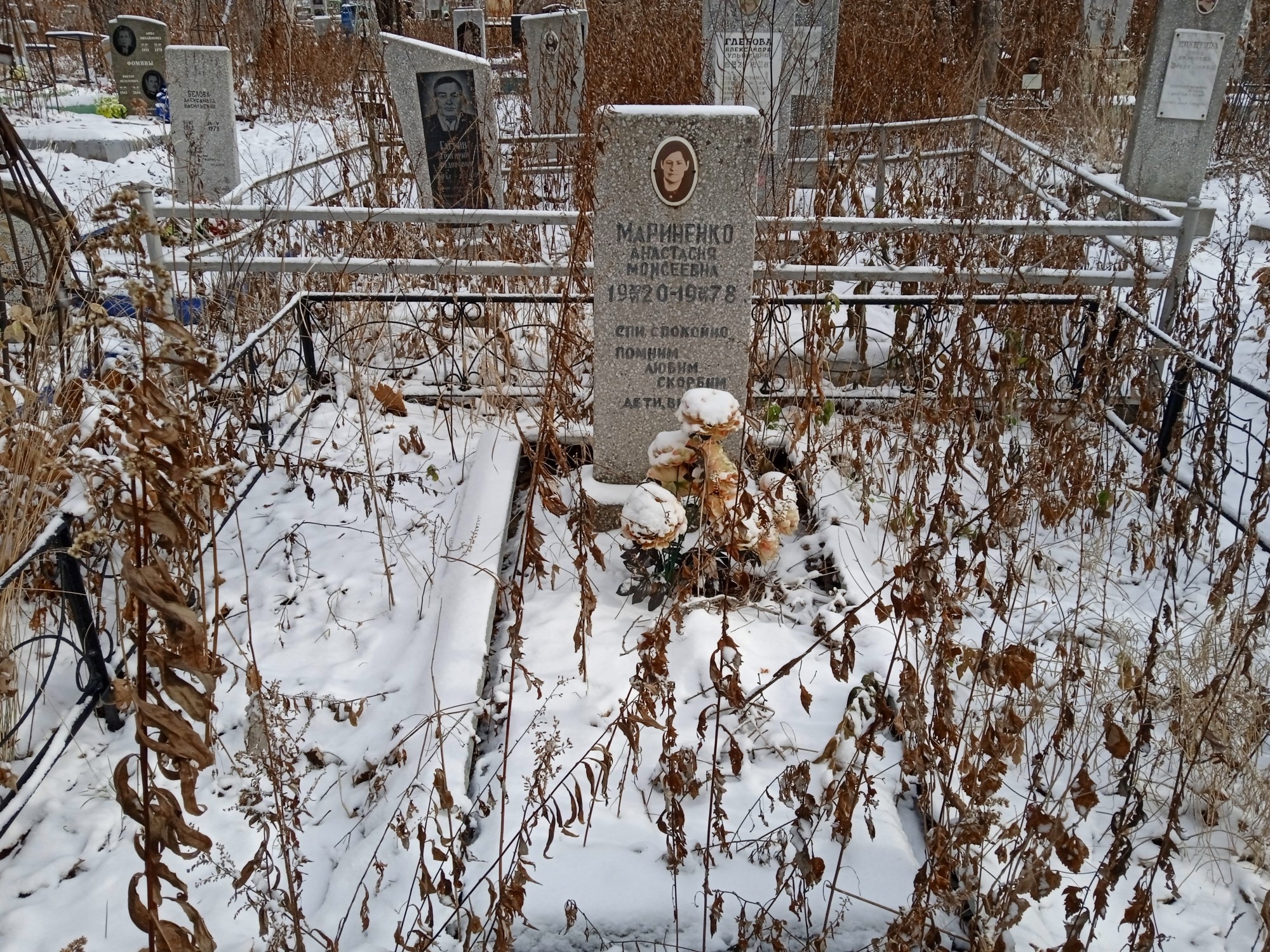 Мариненко Анастасия Моисеевна