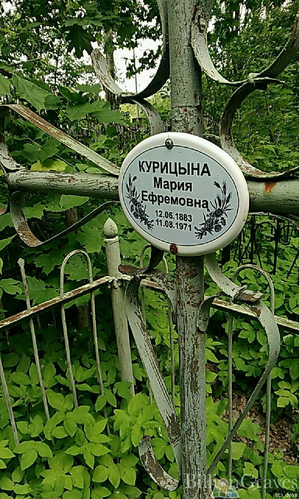 курицына мария ефремовна