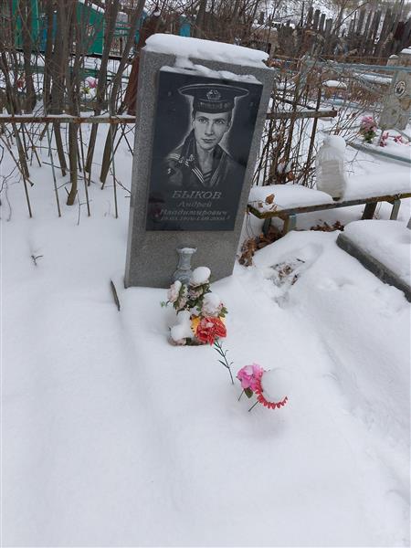 Быков Андрей Владимирович
