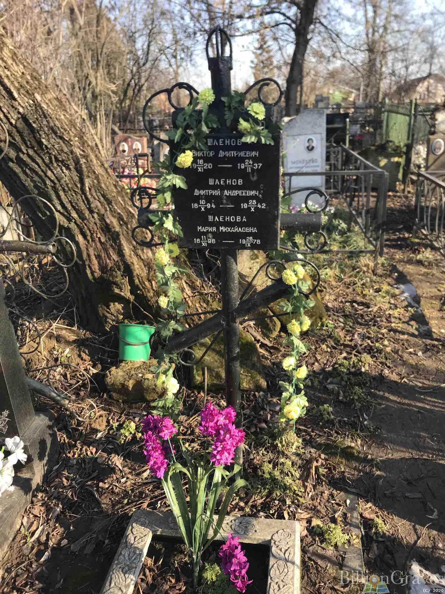 Шленова Мария Михайловна