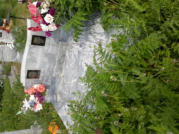 Новиков Николай Николаевич