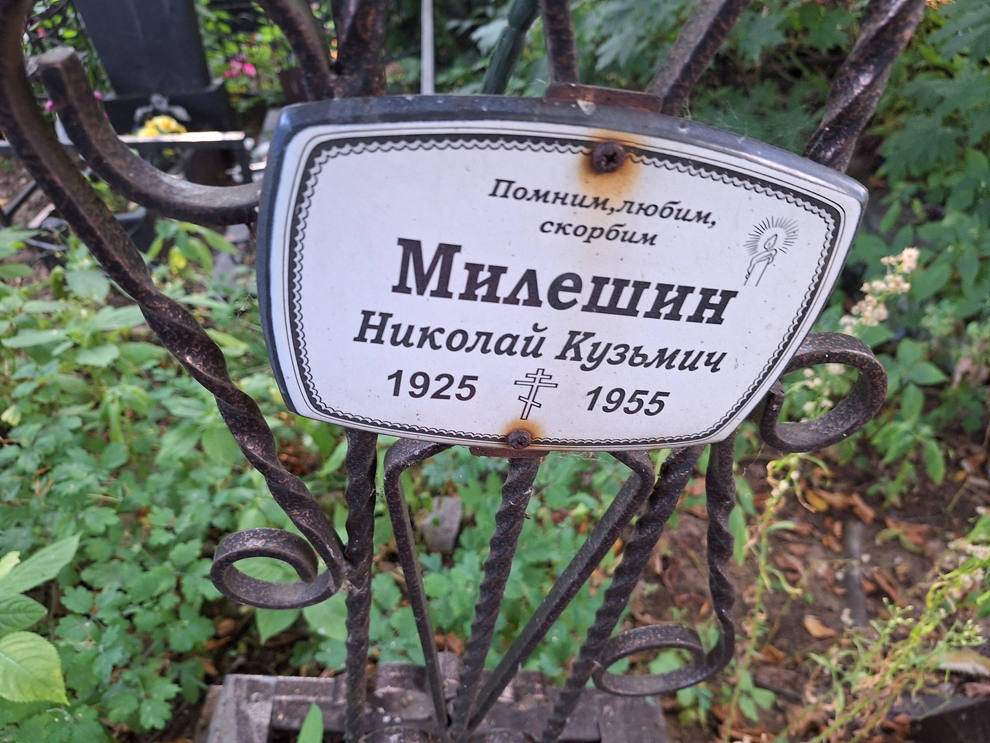 Милешин