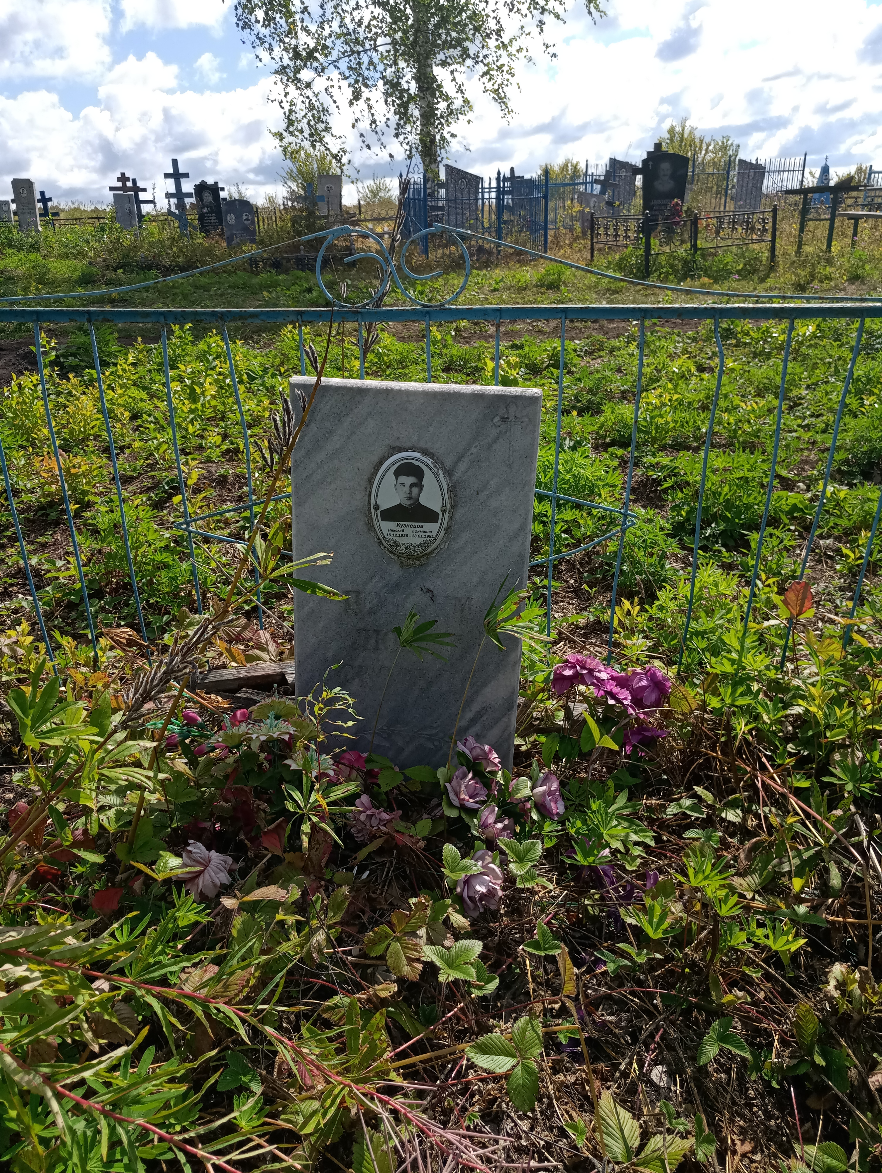 Кузнецов Николай Ефимович