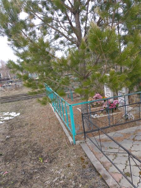 Волынкин Владимир Ефимович
