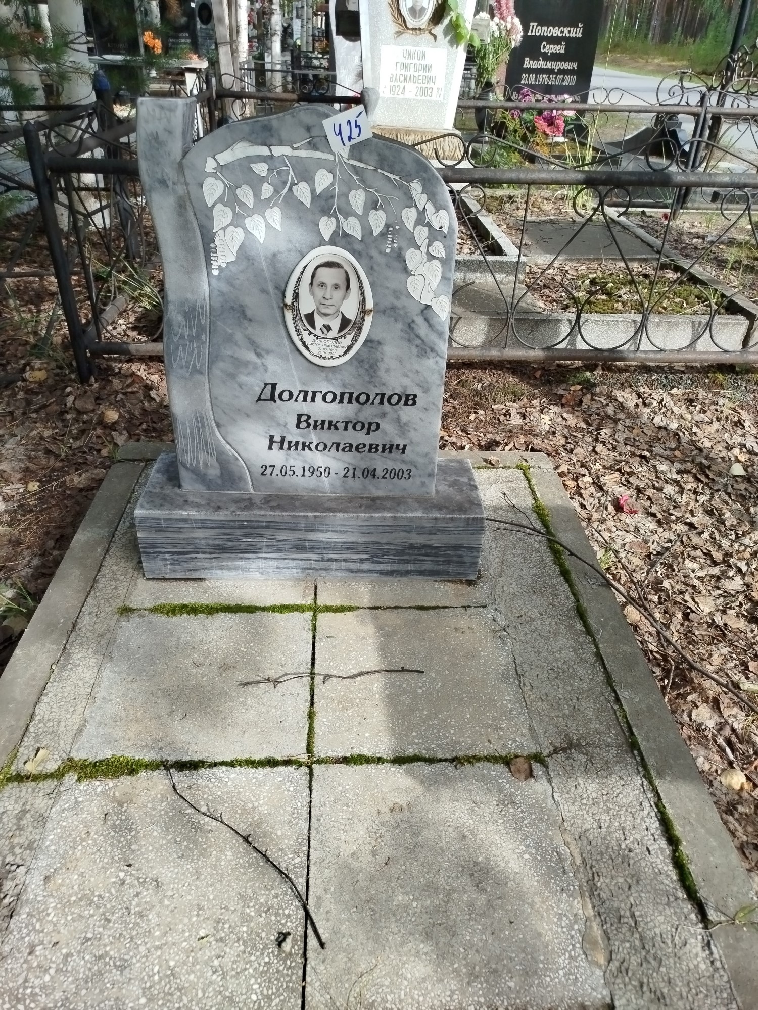 Долгополов Виктор Николаевич