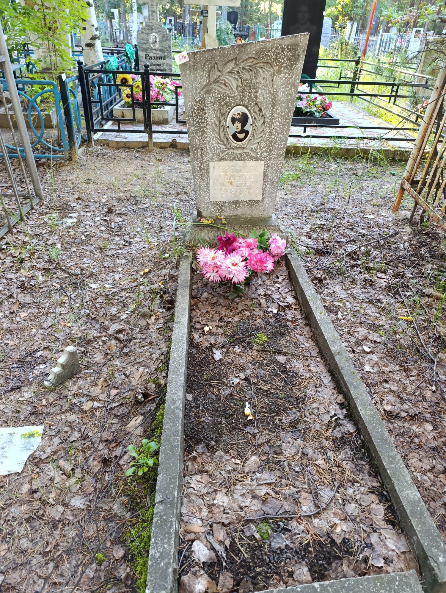 Мезенцева Людмила Алексеевна