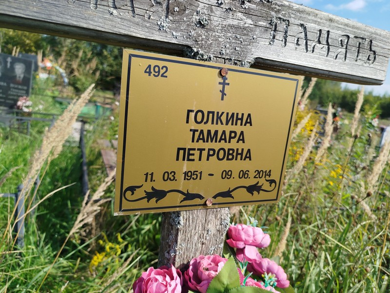 Голкина