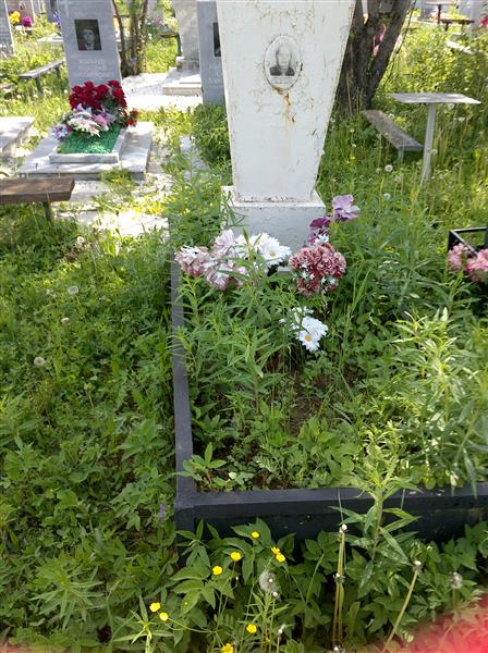 Шарапова Анна Николаевна