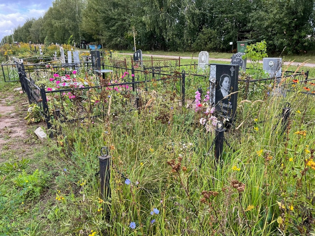 Караева Вера Антоновна