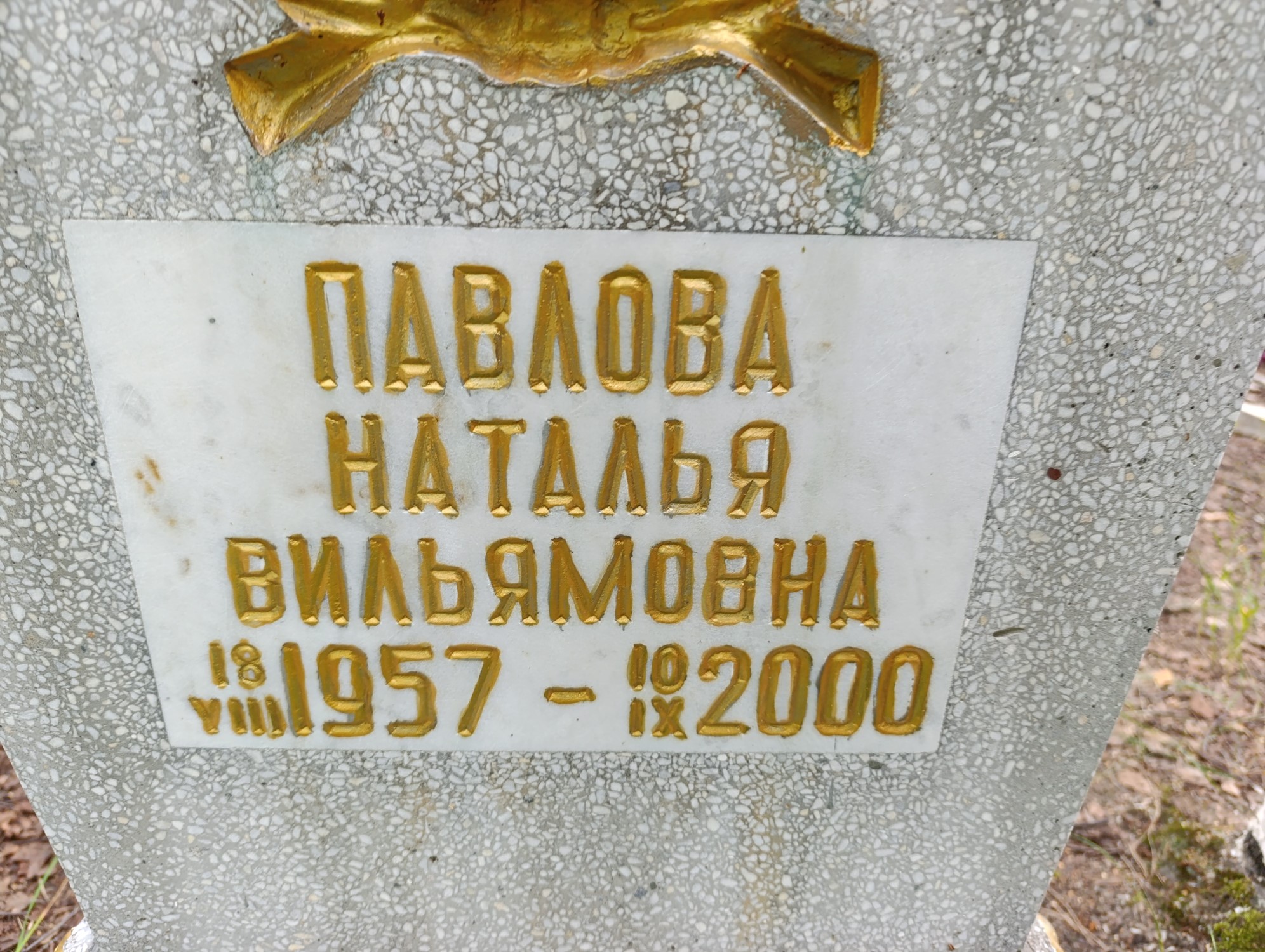 Павлова Наталья Вильямовна
