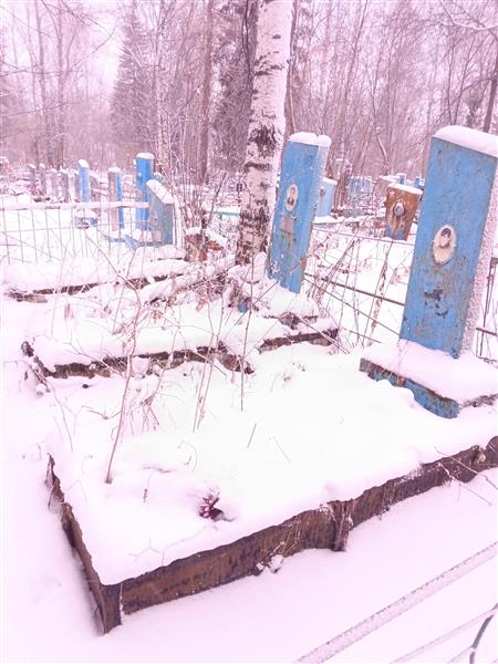 Напалкова Наталья Ильинична