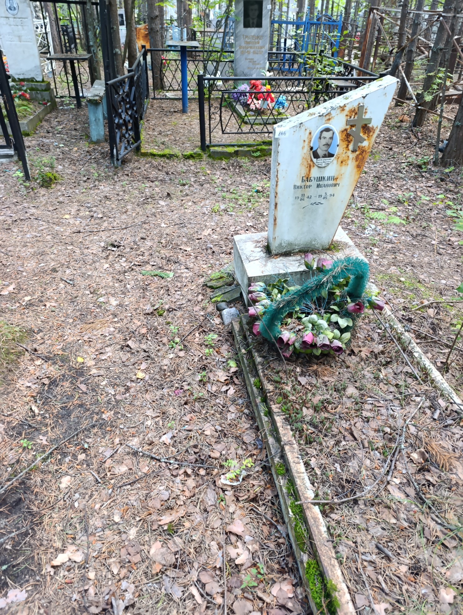 Бабушкин Виктор Иванович