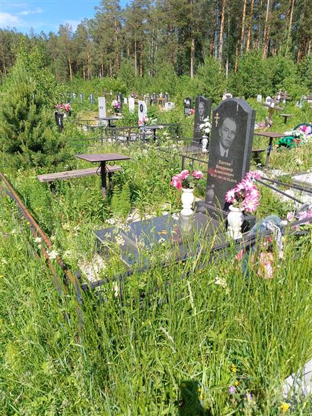 Лаптев Владимир Алексеевич