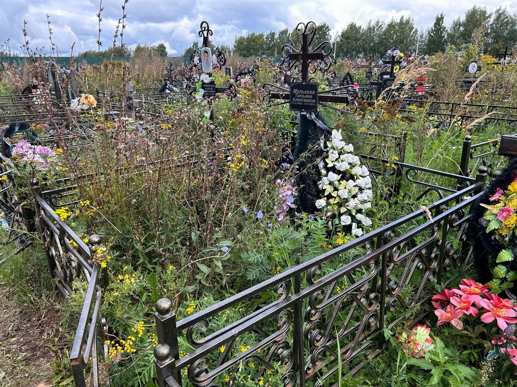 Молькова Татьяна Алексеевна