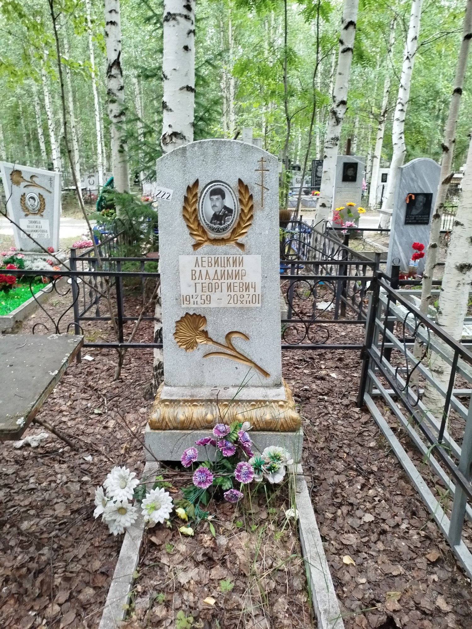 Левицкий Владимир Георгиевич