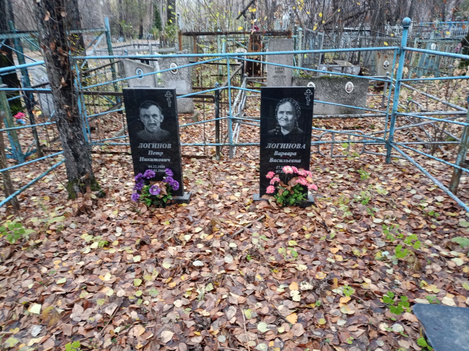 Логинов Петр Никитович