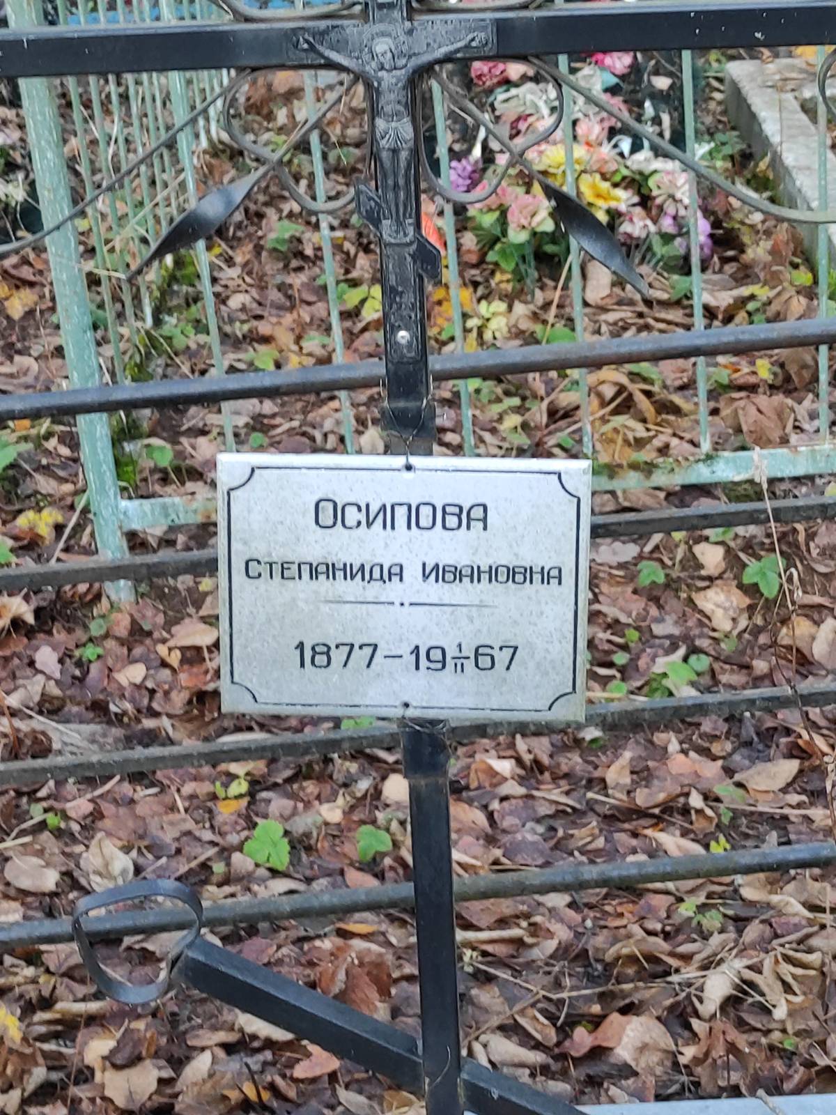 Осипова Степанида Ивановна