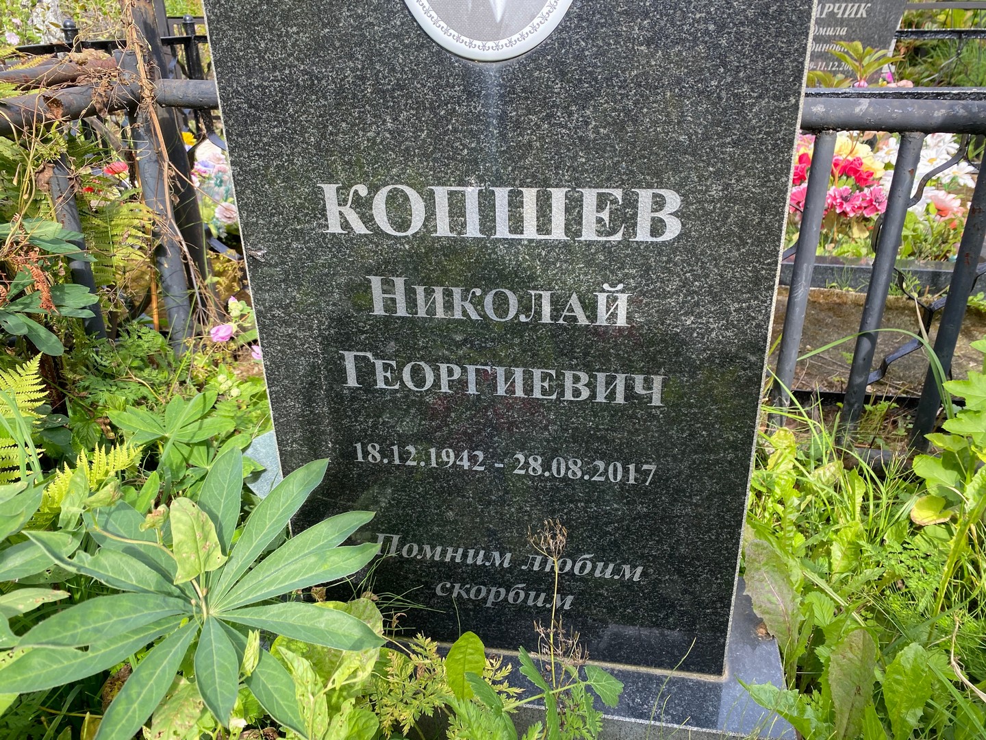 Копшев