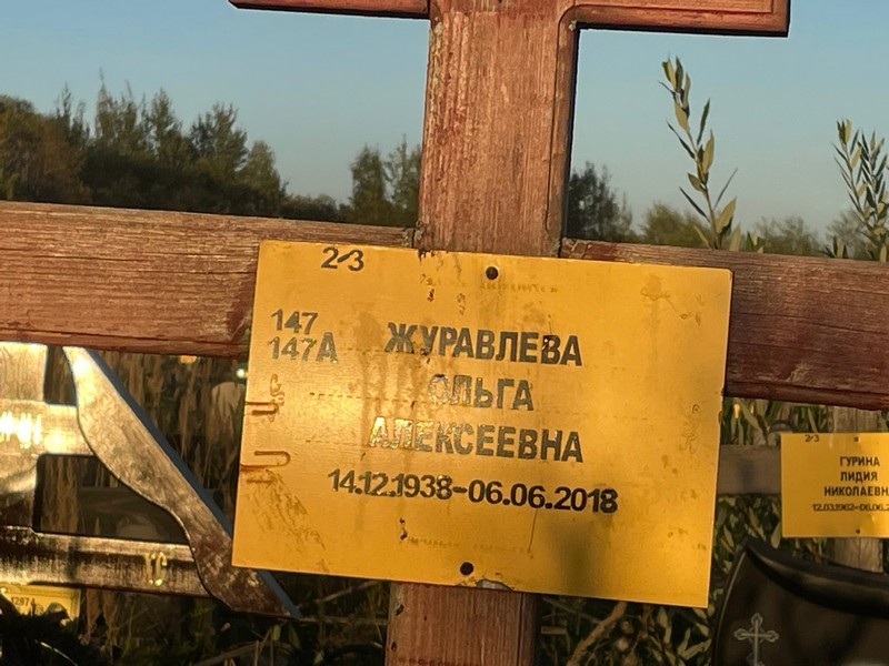 Журавлева