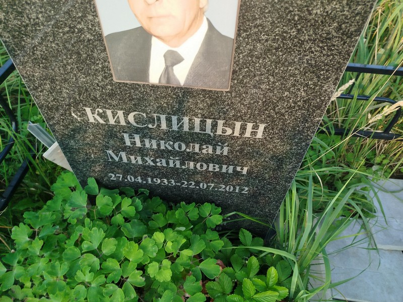Кислин