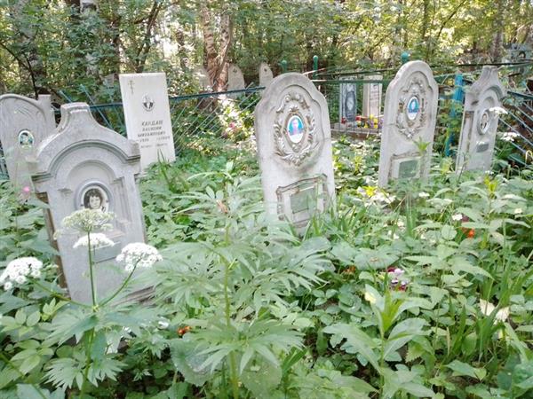 Колосов Иван Арсентьевич