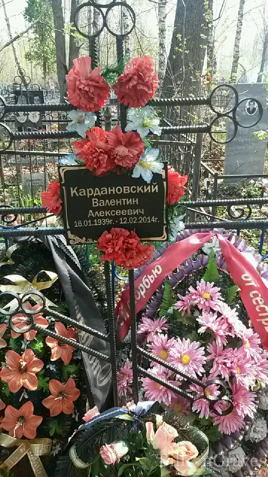 Кардановский Валентин Алексеевич