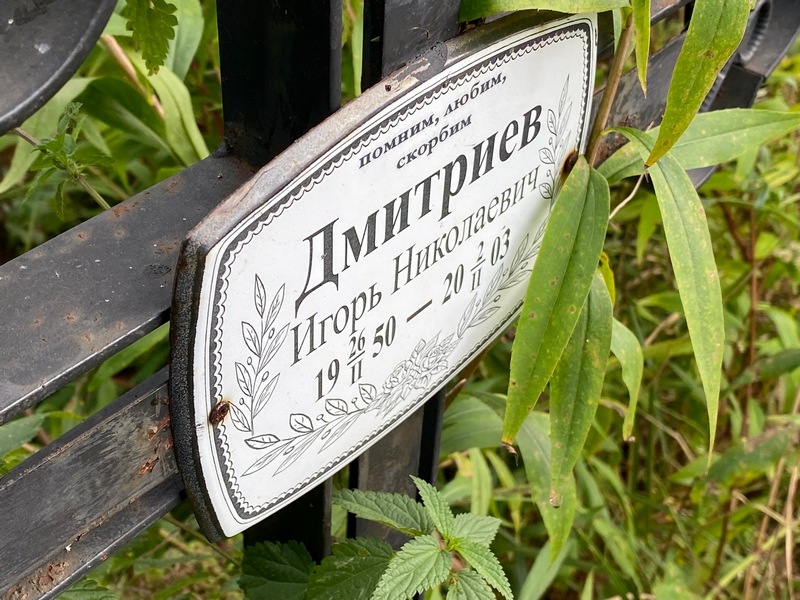 Дмитриев