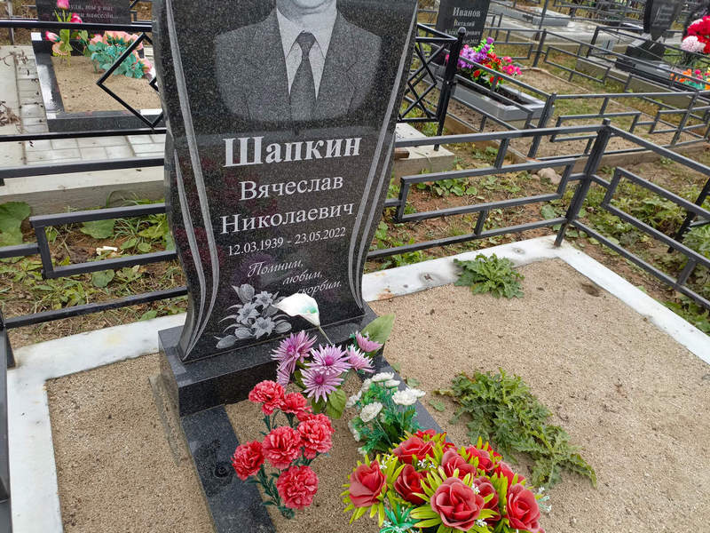 Шапкин
