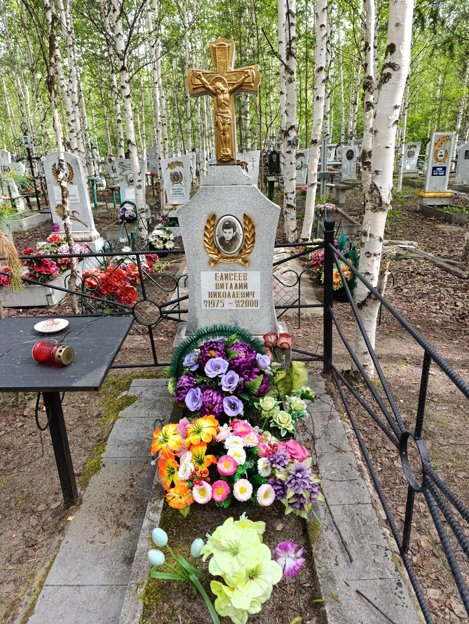 Елисеев Виталий Николаевич